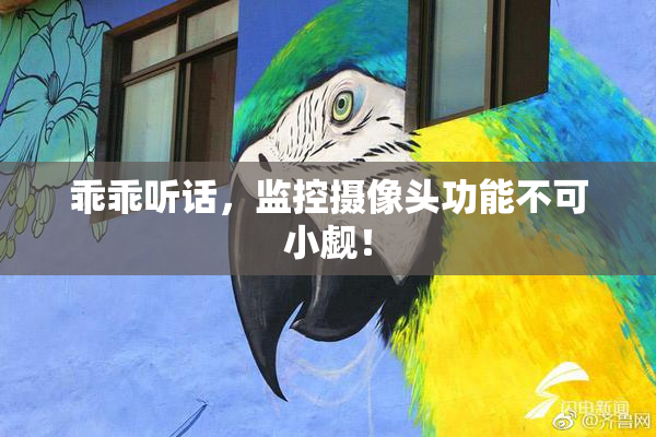 乖乖听话，监控摄像头功能不可小觑！