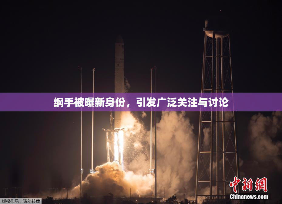 纲手被曝新身份，引发广泛关注与讨论