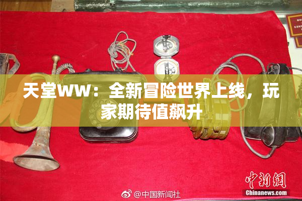 天堂WW：全新冒险世界上线，玩家期待值飙升