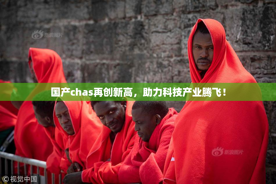 国产chas再创新高，助力科技产业腾飞！