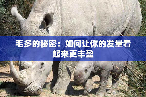 毛多的秘密：如何让你的发量看起来更丰盈
