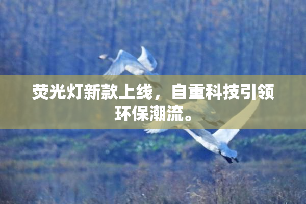 荧光灯新款上线，自重科技引领环保潮流。