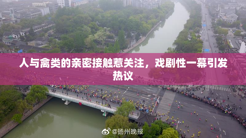 人与禽类的亲密接触惹关注，戏剧性一幕引发热议