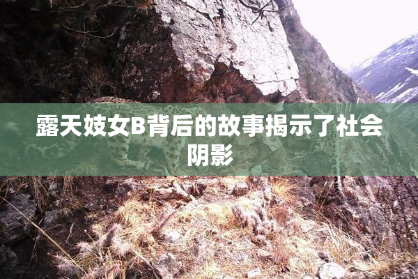 露天妓女B背后的故事揭示了社会阴影