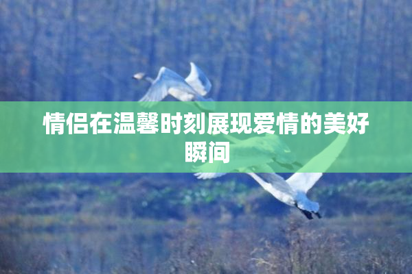 情侣在温馨时刻展现爱情的美好瞬间