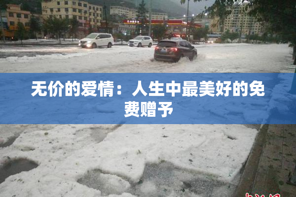 无价的爱情：人生中最美好的免费赠予