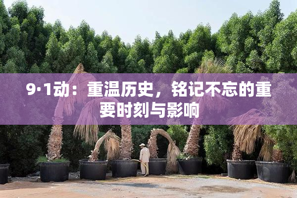9·1动：重温历史，铭记不忘的重要时刻与影响