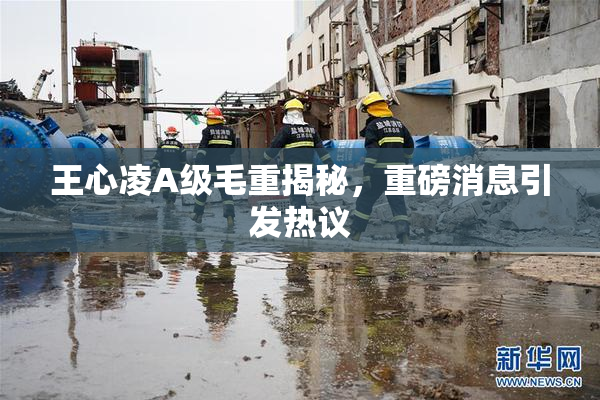 王心凌A级毛重揭秘，重磅消息引发热议