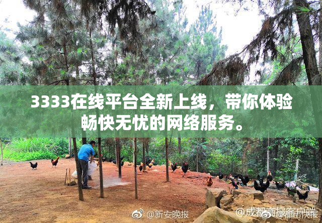 3333在线平台全新上线，带你体验畅快无忧的网络服务。