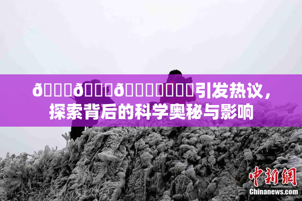 🍆🍑🔞❌‌❌‌引发热议，探索背后的科学奥秘与影响