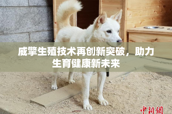 威擎生殖技术再创新突破，助力生育健康新未来