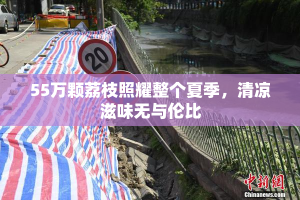 55万颗荔枝照耀整个夏季，清凉滋味无与伦比
