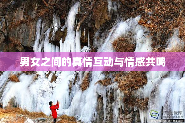 男女之间的真情互动与情感共鸣