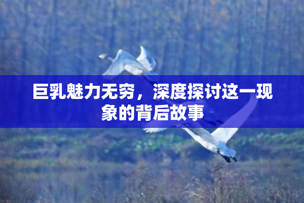巨乳魅力无穷，深度探讨这一现象的背后故事