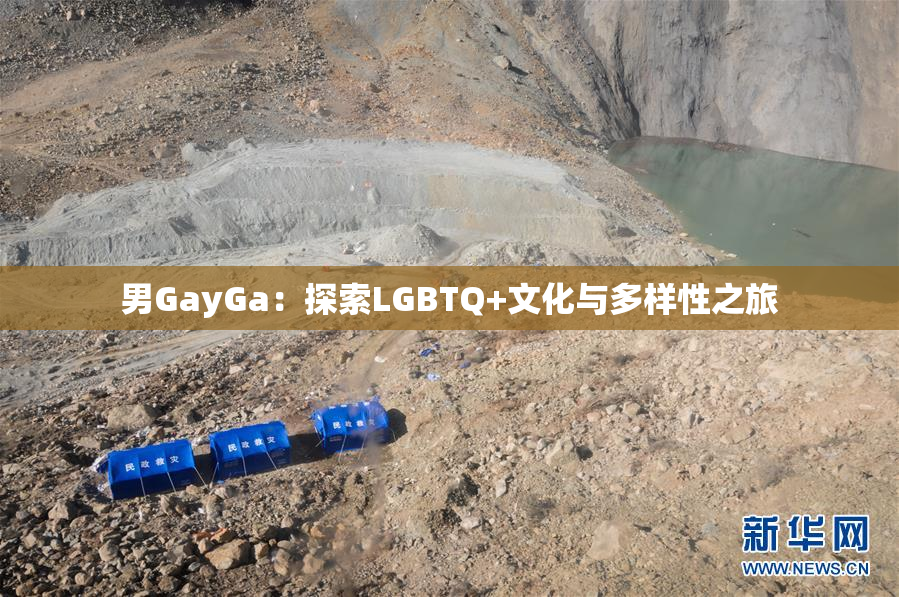 男GayGa：探索LGBTQ+文化与多样性之旅