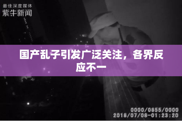 国产乱子引发广泛关注，各界反应不一