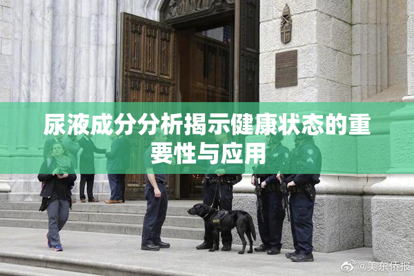 尿液成分分析揭示健康状态的重要性与应用