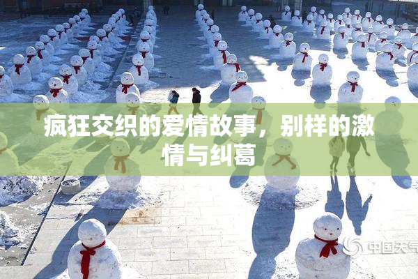 疯狂交织的爱情故事，别样的激情与纠葛