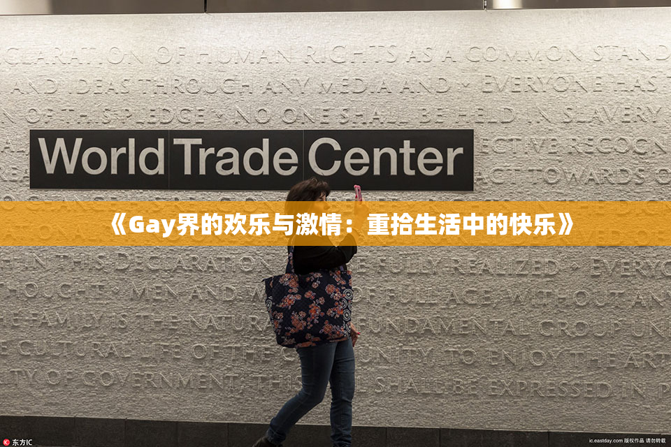 《Gay界的欢乐与激情：重拾生活中的快乐》