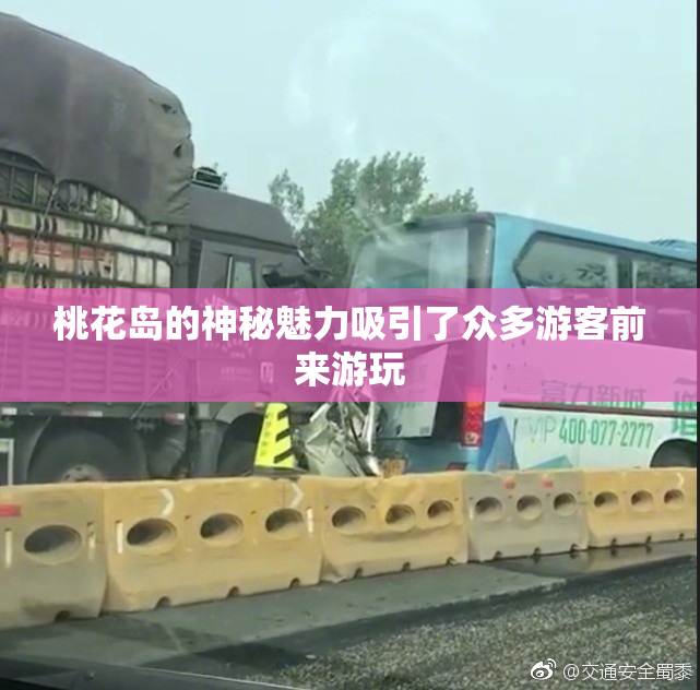 桃花岛的神秘魅力吸引了众多游客前来游玩