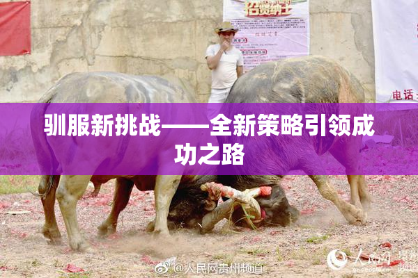 驯服新挑战——全新策略引领成功之路