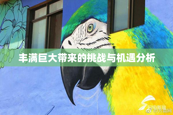 丰满巨大带来的挑战与机遇分析