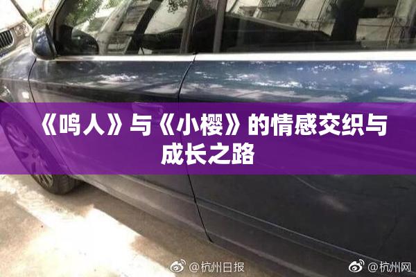 《鸣人》与《小樱》的情感交织与成长之路