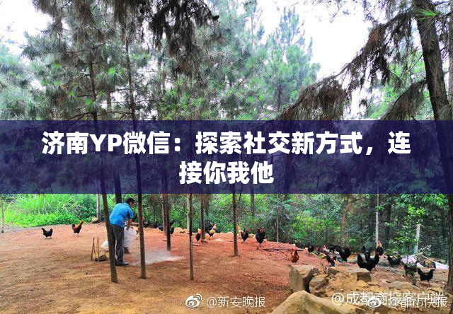 济南YP微信：探索社交新方式，连接你我他
