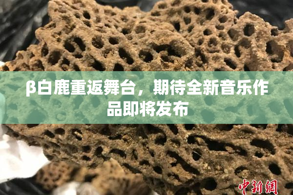 β白鹿重返舞台，期待全新音乐作品即将发布