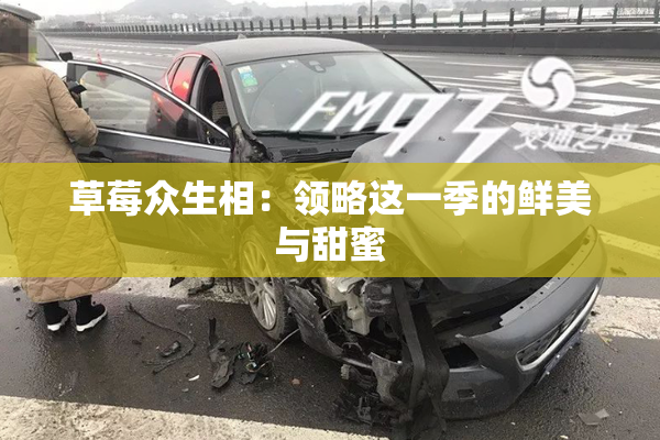 草莓众生相：领略这一季的鲜美与甜蜜