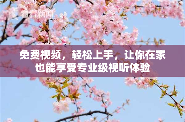 免费视频，轻松上手，让你在家也能享受专业级视听体验