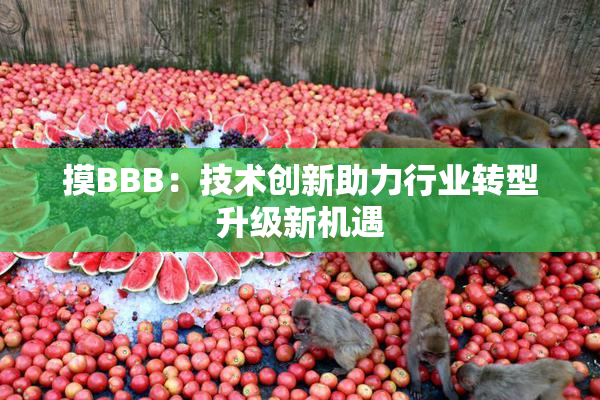 摸BBB：技术创新助力行业转型升级新机遇