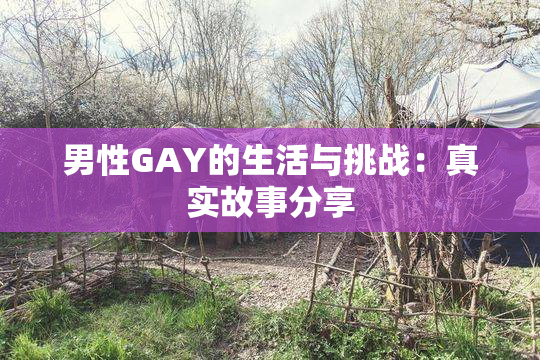 男性GAY的生活与挑战：真实故事分享