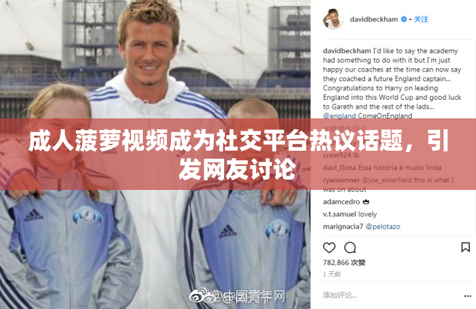 成人菠萝视频成为社交平台热议话题，引发网友讨论