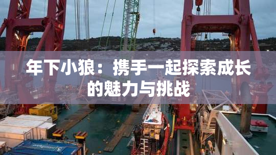 年下小狼：携手一起探索成长的魅力与挑战