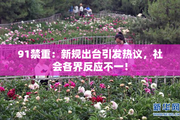 91禁重：新规出台引发热议，社会各界反应不一！