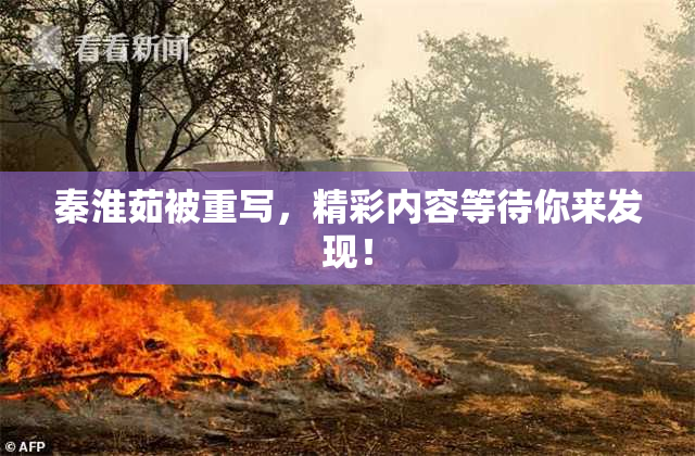 秦淮茹被重写，精彩内容等待你来发现！