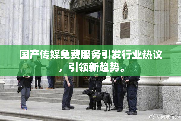 国产传媒免费服务引发行业热议，引领新趋势。