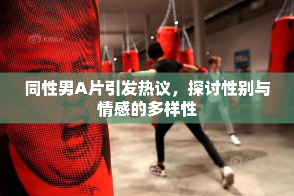 同性男A片引发热议，探讨性别与情感的多样性