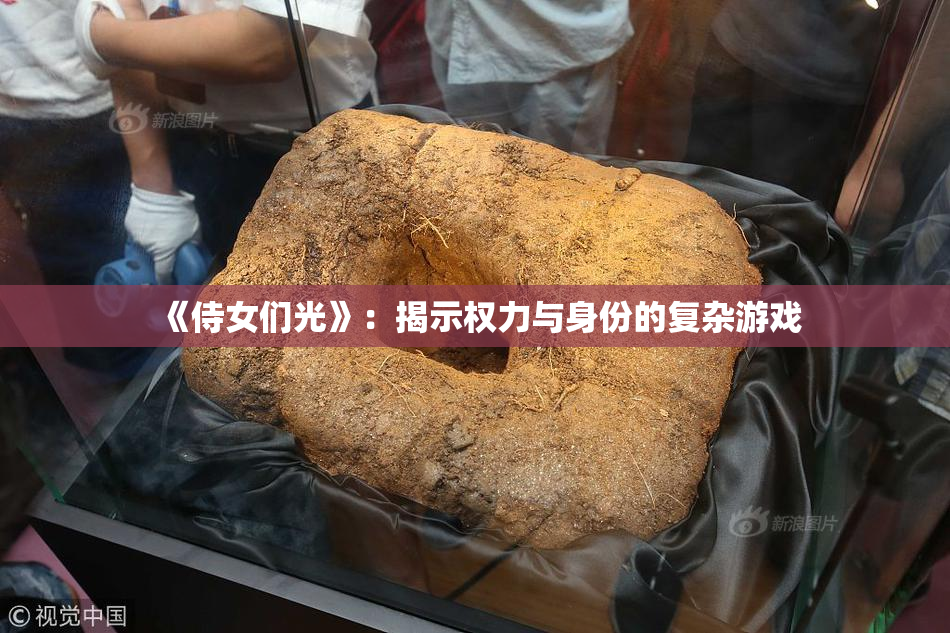 《侍女们光》：揭示权力与身份的复杂游戏