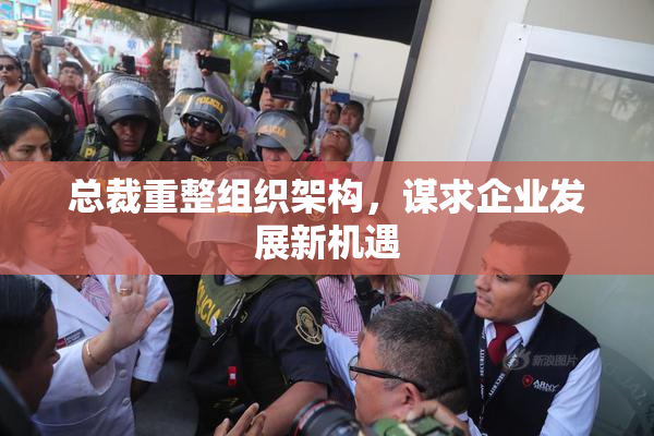 总裁重整组织架构，谋求企业发展新机遇