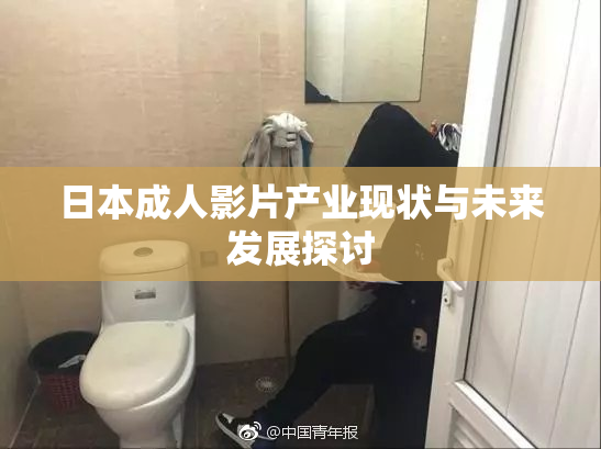 日本成人影片产业现状与未来发展探讨