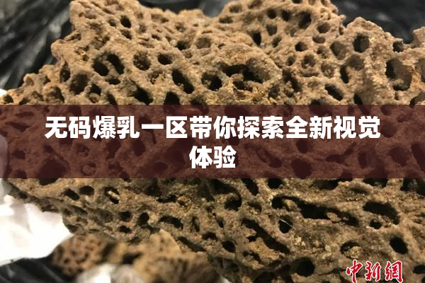 无码爆乳一区带你探索全新视觉体验