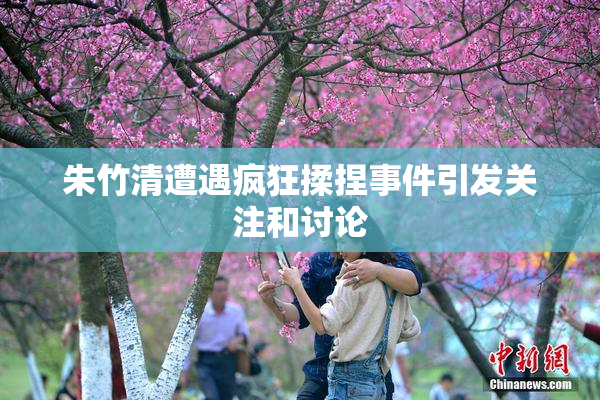 朱竹清遭遇疯狂揉捏事件引发关注和讨论