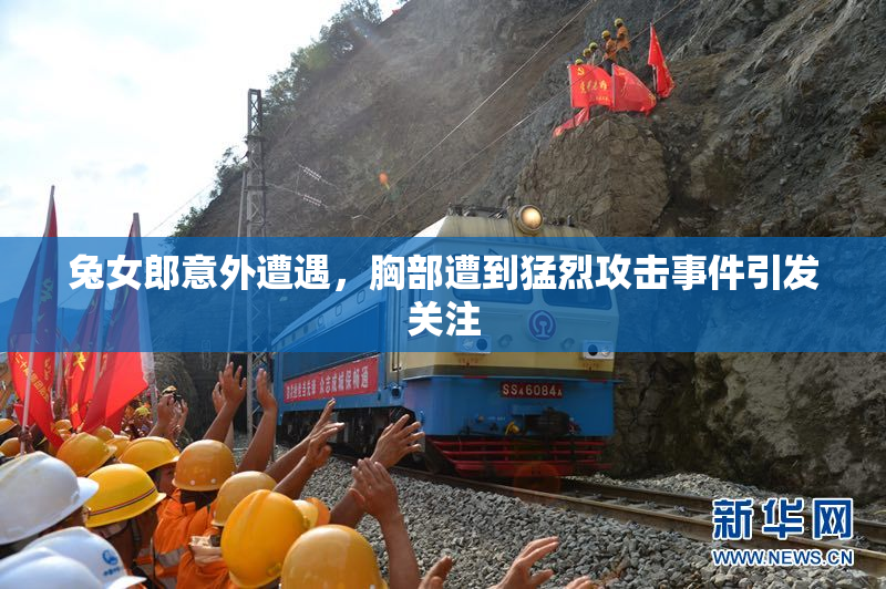 兔女郎意外遭遇，胸部遭到猛烈攻击事件引发关注