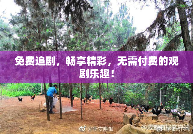 免费追剧，畅享精彩，无需付费的观剧乐趣！