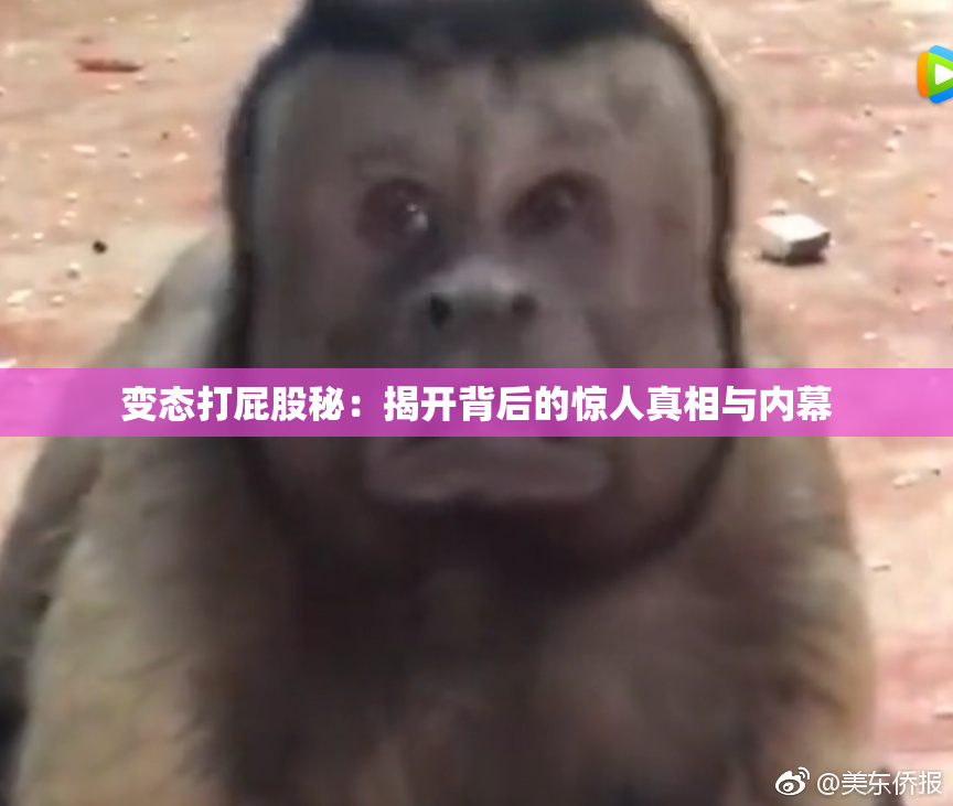 变态打屁股秘：揭开背后的惊人真相与内幕