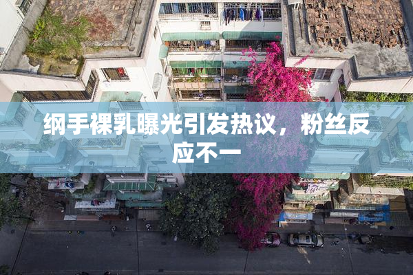 纲手裸乳曝光引发热议，粉丝反应不一