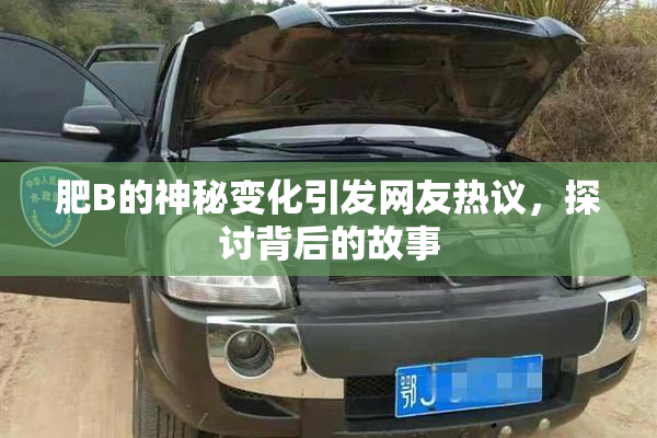 肥B的神秘变化引发网友热议，探讨背后的故事