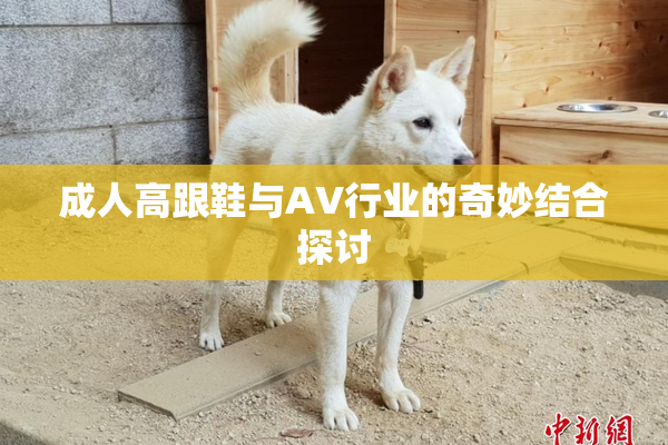 成人高跟鞋与AV行业的奇妙结合探讨